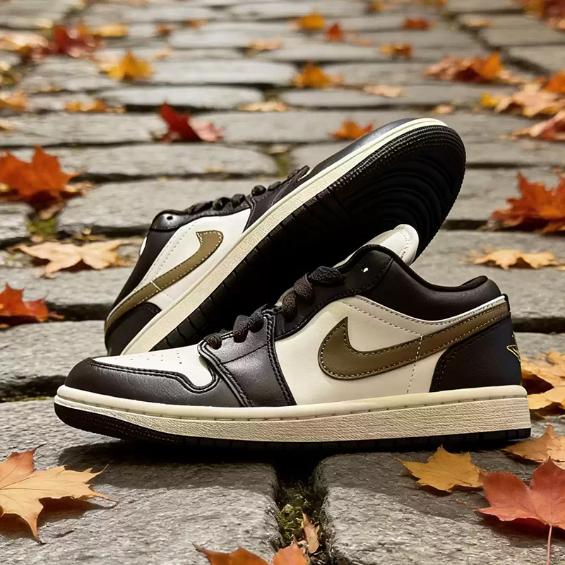 Nike Jordan Air Jordan1 Sepatu - Women Shoes Jordan ulasan dan harga