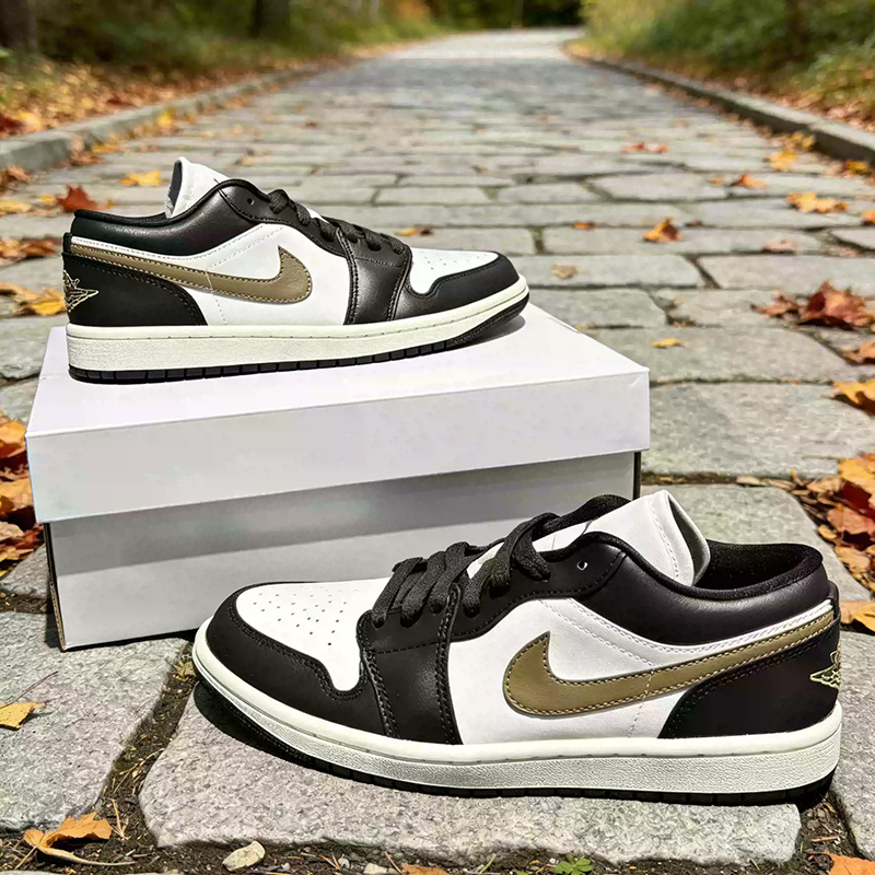 Nike Jordan Air Jordan1 Sepatu - Women Shoes Jordan ulasan dan harga